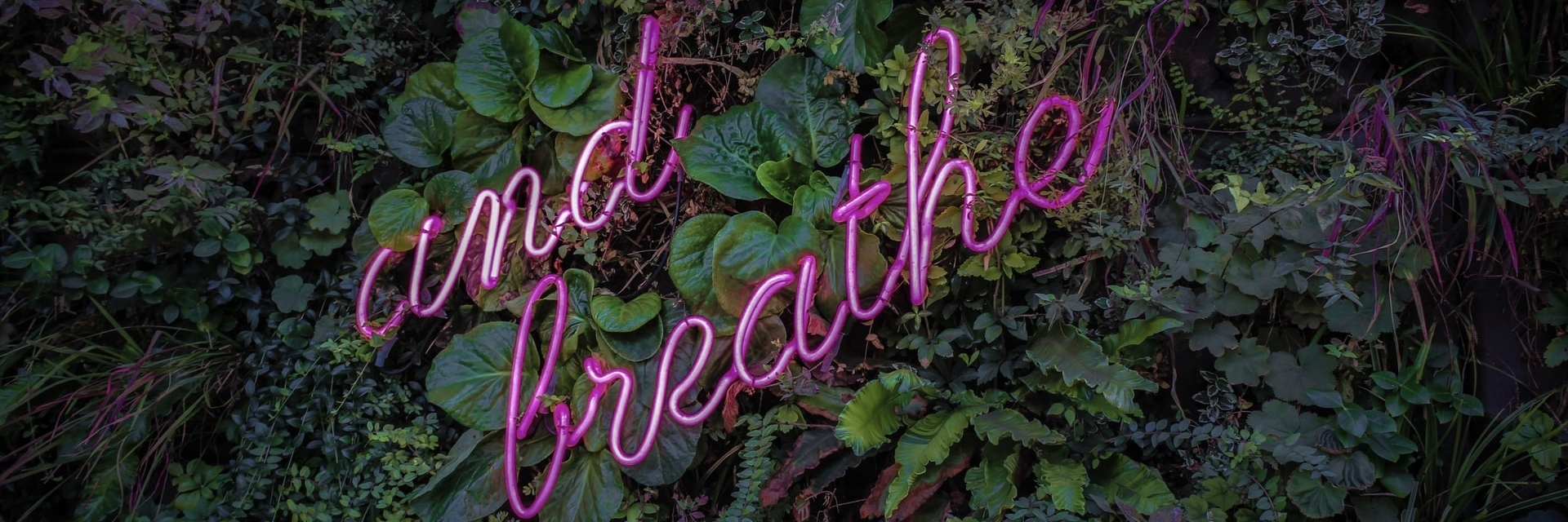 Photo by Victor Garcia on Unsplash A plant covered wall with a neon sign.